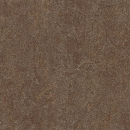 Marmoleum - Cinch LOC SEAL in Walnut Vinyl Sheet Goods