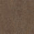 Marmoleum - Cinch LOC SEAL in Walnut Vinyl Sheet Goods