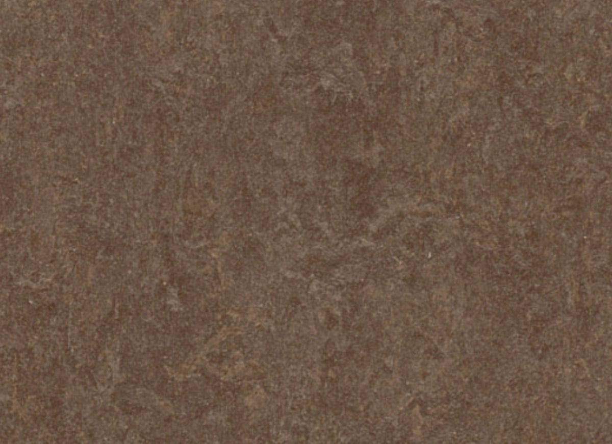 Marmoleum - Cinch LOC SEAL in Walnut