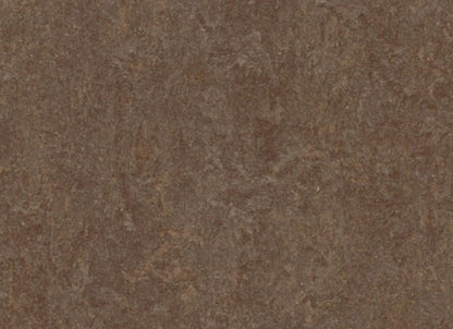 Marmoleum - Cinch LOC SEAL in Walnut