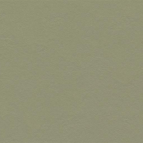 Marmoleum Walton Uni and Cirrus in Rosemary Green Vinyl Sheet Goods