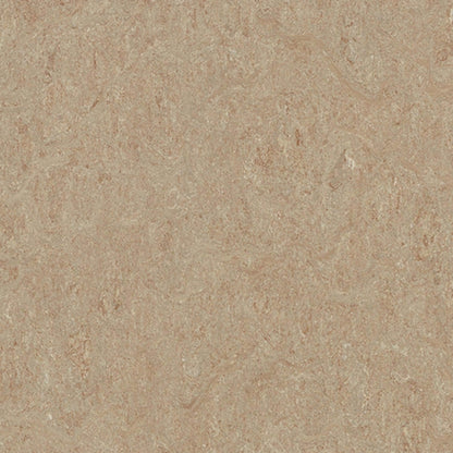 Marmoleum - Cinch LOC SEAL in Weathered Sand Vinyl Sheet Goods