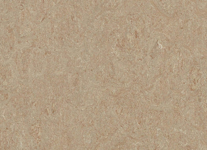 Marmoleum - Cinch LOC SEAL in Weathered Sand
