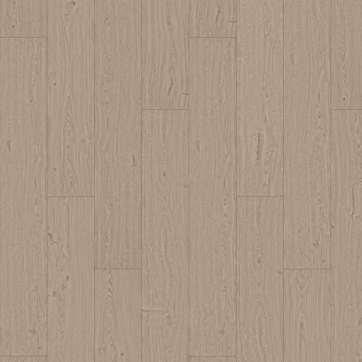 Pearl City in Tranquil Fog Oak Laminate