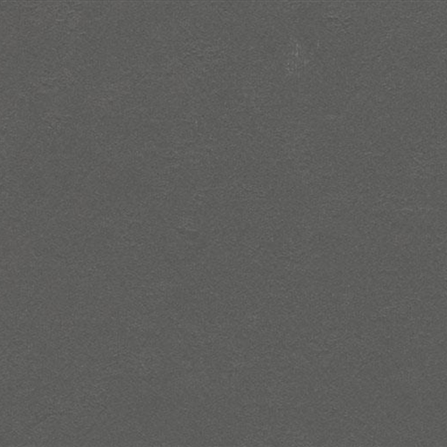 Marmoleum Walton Uni and Cirrus in Grey Iron Vinyl Sheet Goods