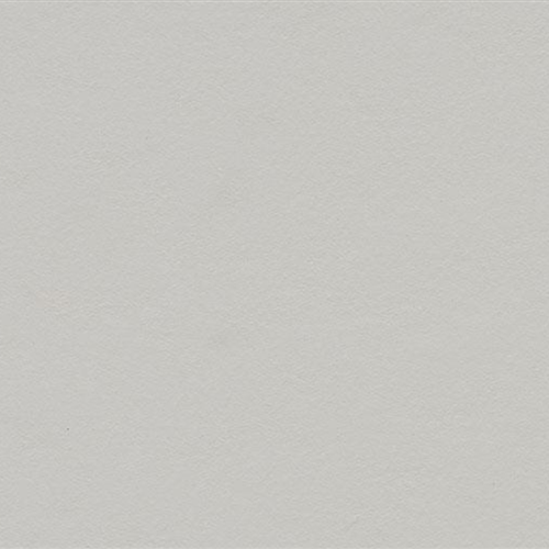 Marmoleum Walton Uni and Cirrus in Titanium Vinyl Sheet Goods
