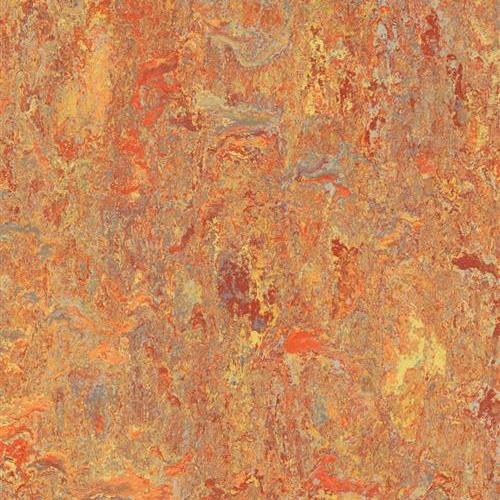 Marmoleum Vivace in Asian Tiger Vinyl Sheet Goods