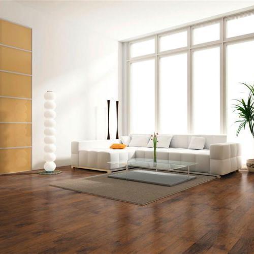 Precious Plank in Kilmer Hickory Laminate