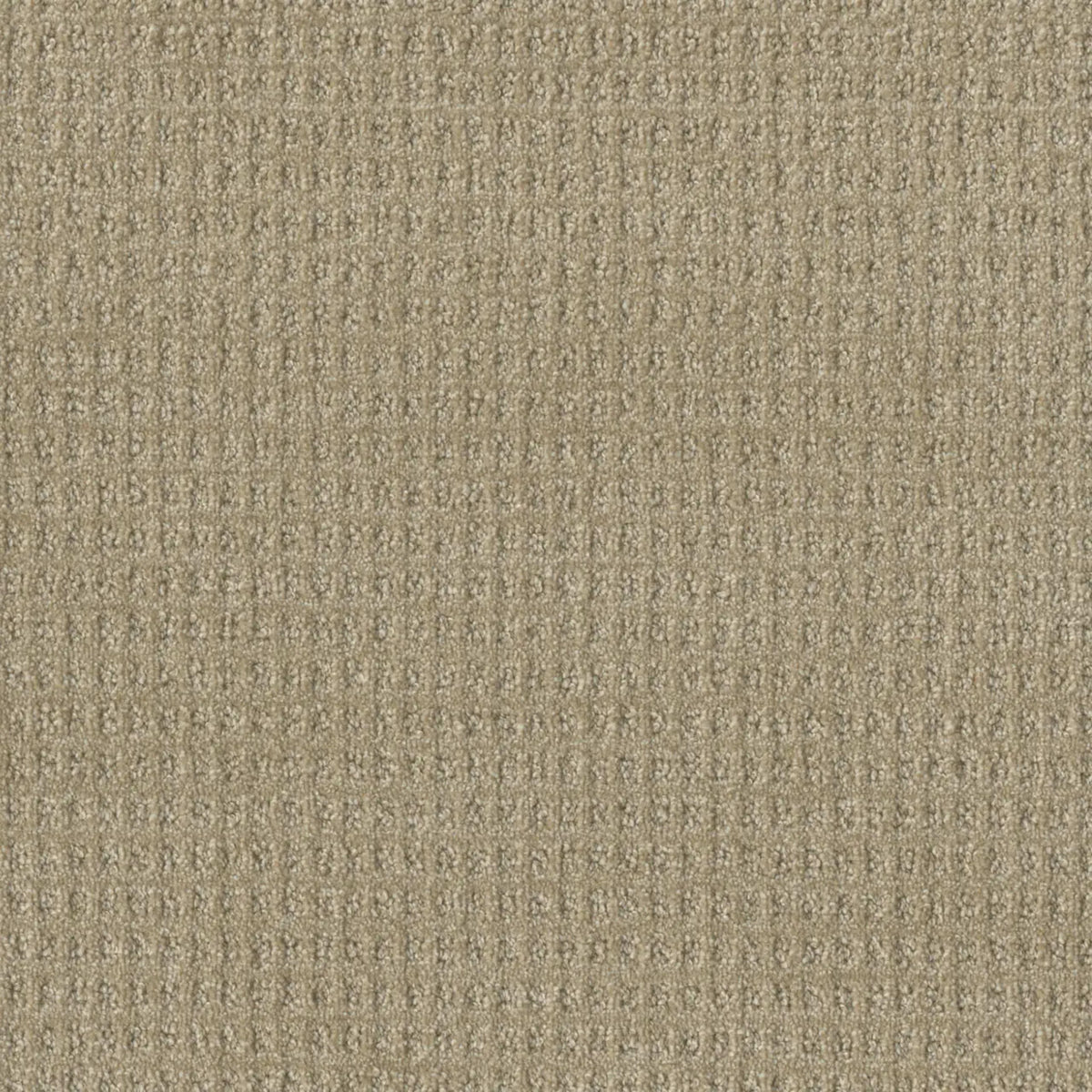 Perfect Balance in Papaya Carpet