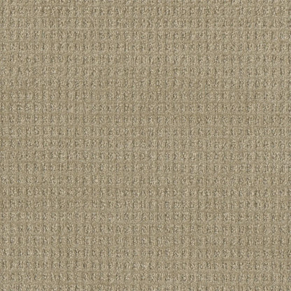 Perfect Balance in Papaya Carpet