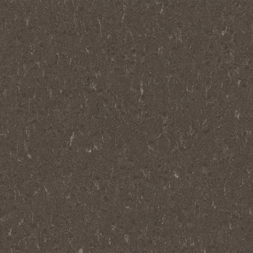 Marmoleum Piano in Sealion Vinyl Sheet Goods