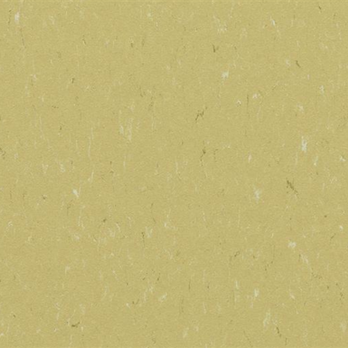 Marmoleum Piano in Meadow Vinyl Sheet Goods