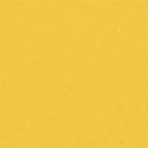 Marmoleum Piano in Sunray Vinyl Sheet Goods
