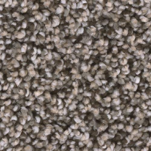 TRENDSETTER II in Twig Carpet