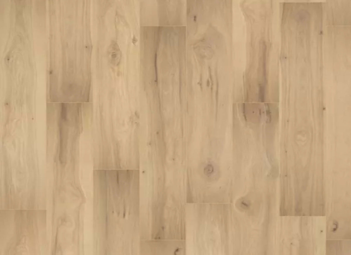 Prestano in Caramelized Hickory