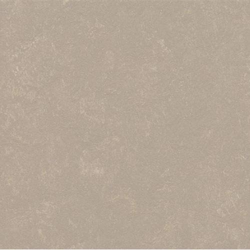 Marmoleum Concrete in Fossil Vinyl Sheet Goods