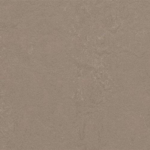 Marmoleum Concrete in Silt Vinyl Sheet Goods
