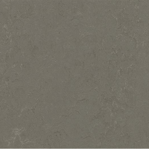 Marmoleum Concrete in Nebula Vinyl Sheet Goods