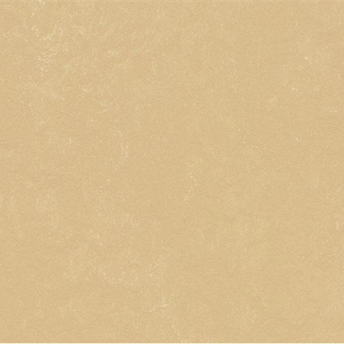 Marmoleum Concrete in Venus Vinyl Sheet Goods