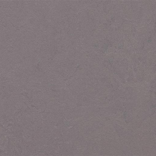 Marmoleum Concrete in Stella Vinyl Sheet Goods