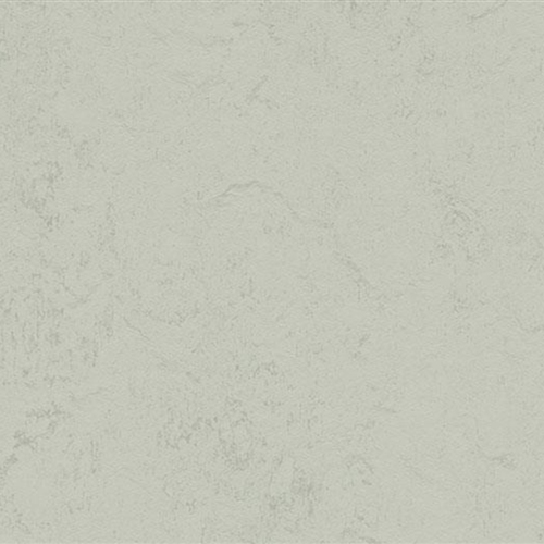 Marmoleum Concrete in Asteroid Vinyl Sheet Goods