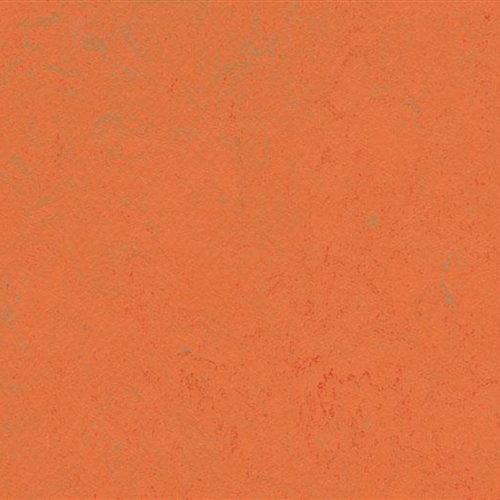 Marmoleum Concrete in Orange Glow Vinyl Sheet Goods