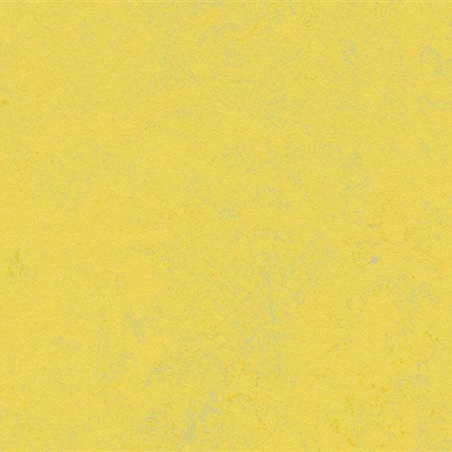 Marmoleum Concrete in Yellow Glow Vinyl Sheet Goods