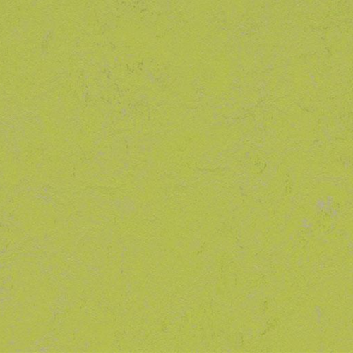 Marmoleum Concrete in Green Glow Vinyl Sheet Goods