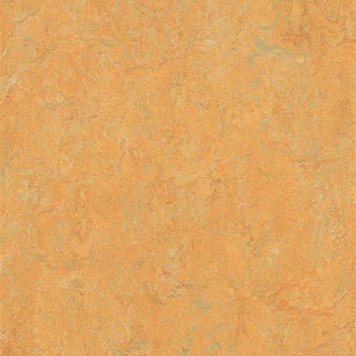 Marmoleum Real in Golden Saffron Vinyl Sheet Goods