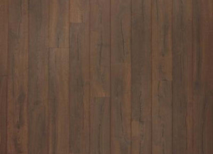 Perdestia in Lander Oak