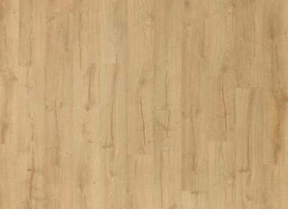 Perdestia in Wheat Oak