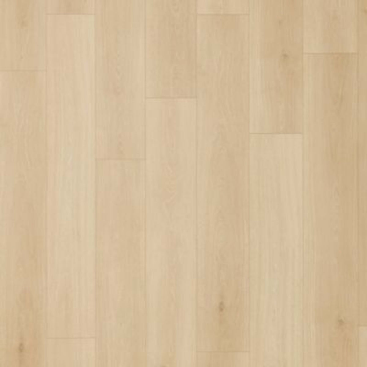 Palisades Park in Pampas Grass Laminate