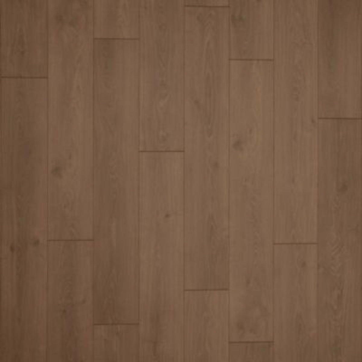Palisades Park in Brown Thrasher Oak Laminate