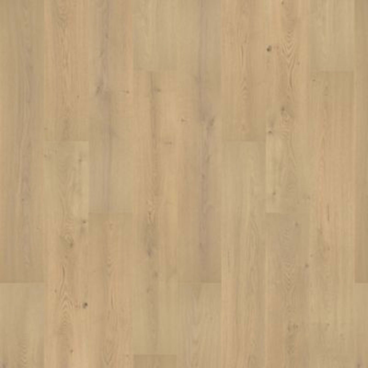 Palisades Park in Sonoran Beige Laminate
