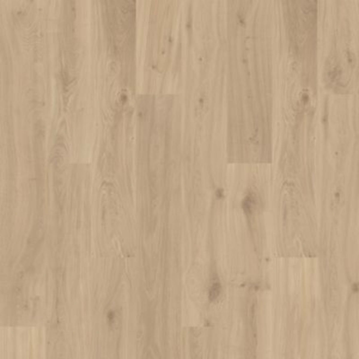 Ellicott Point in Parchment Oak Laminate