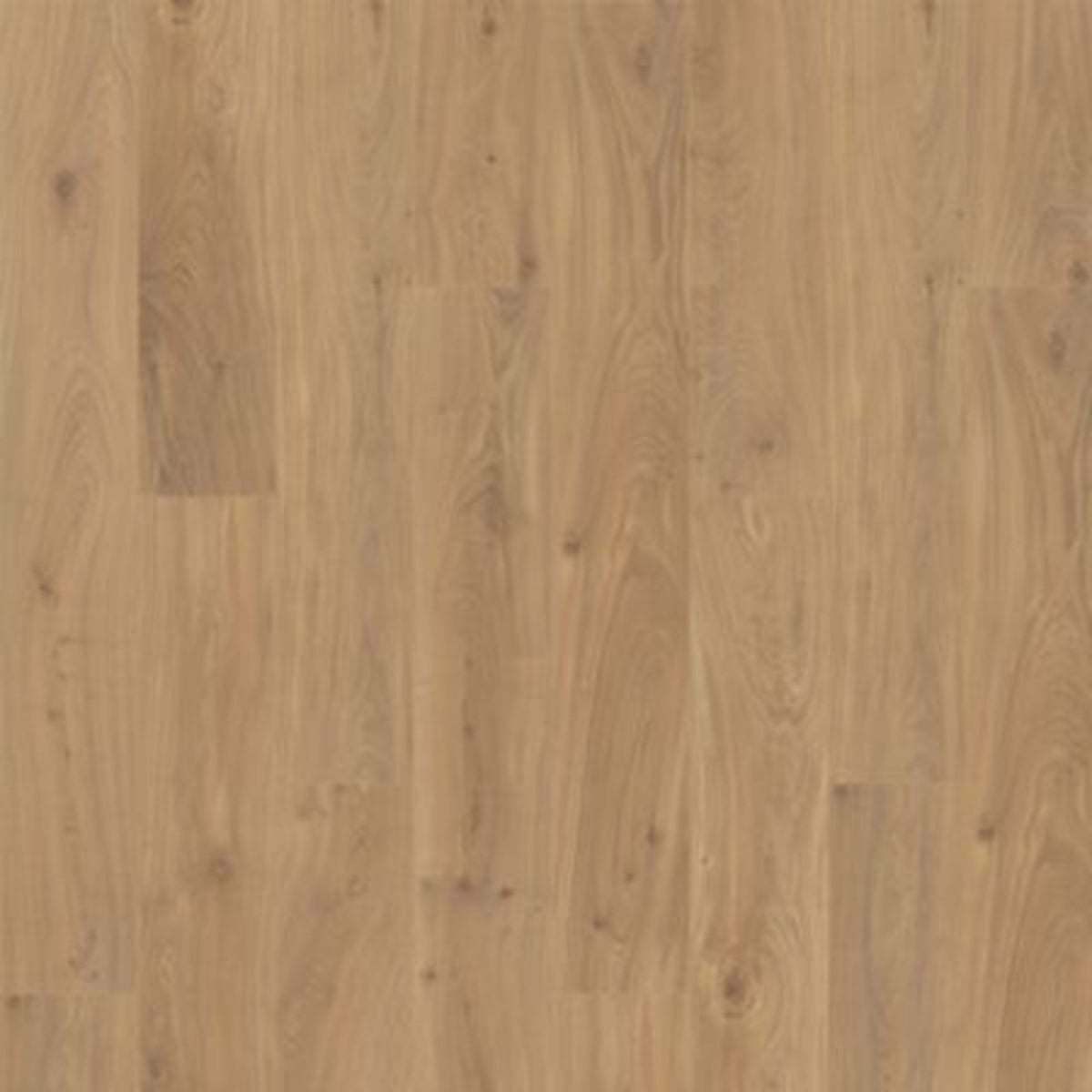 Ellicott Point in Gilded Page Oak Laminate