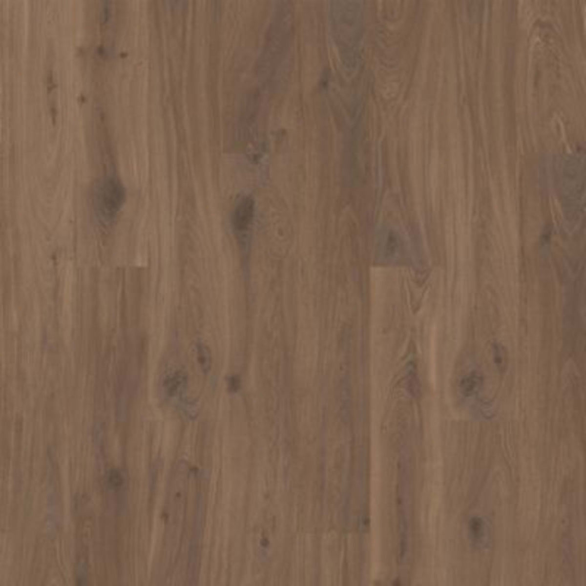 Ellicott Point in Leatherbound Oak Laminate