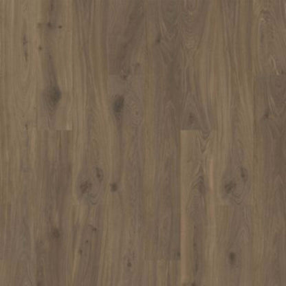 Ellicott Point in Bookcase Oak Laminate