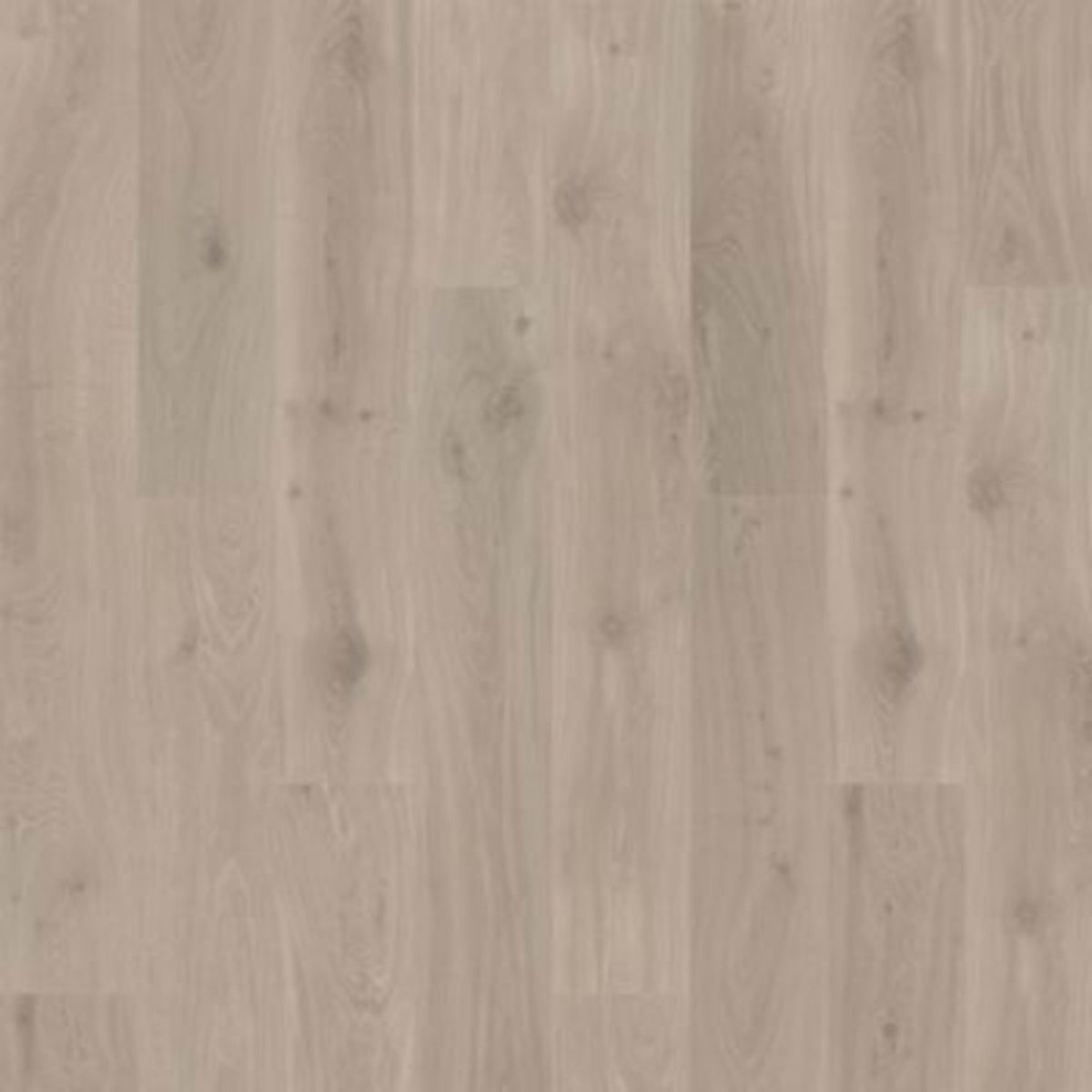 Ellicott Point in Caligraphy Oak Laminate