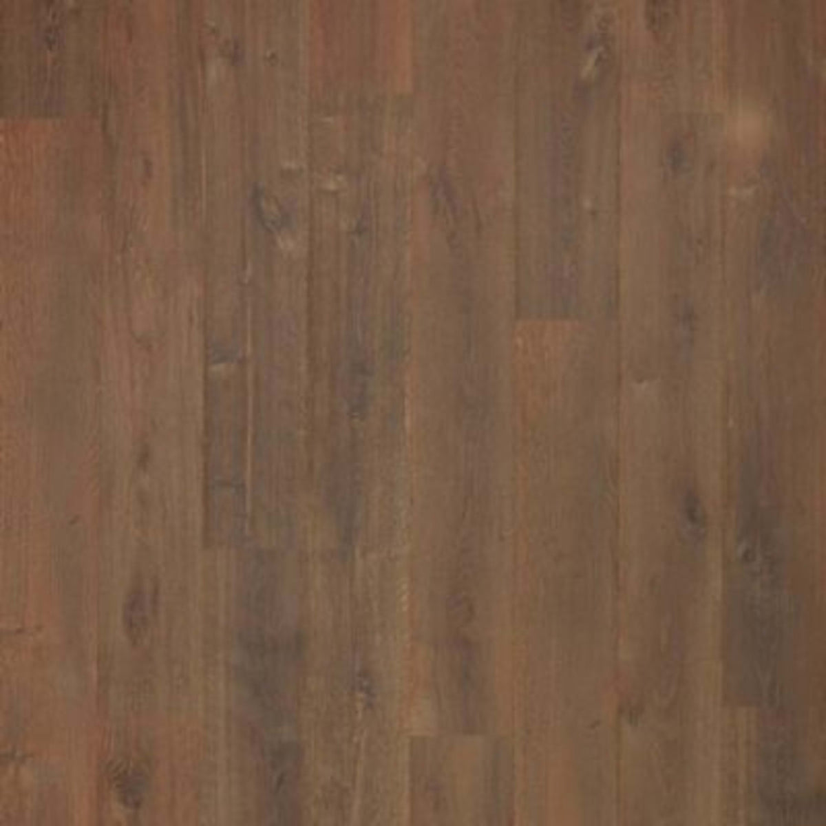 Abreeza in Hutia Oak Laminate