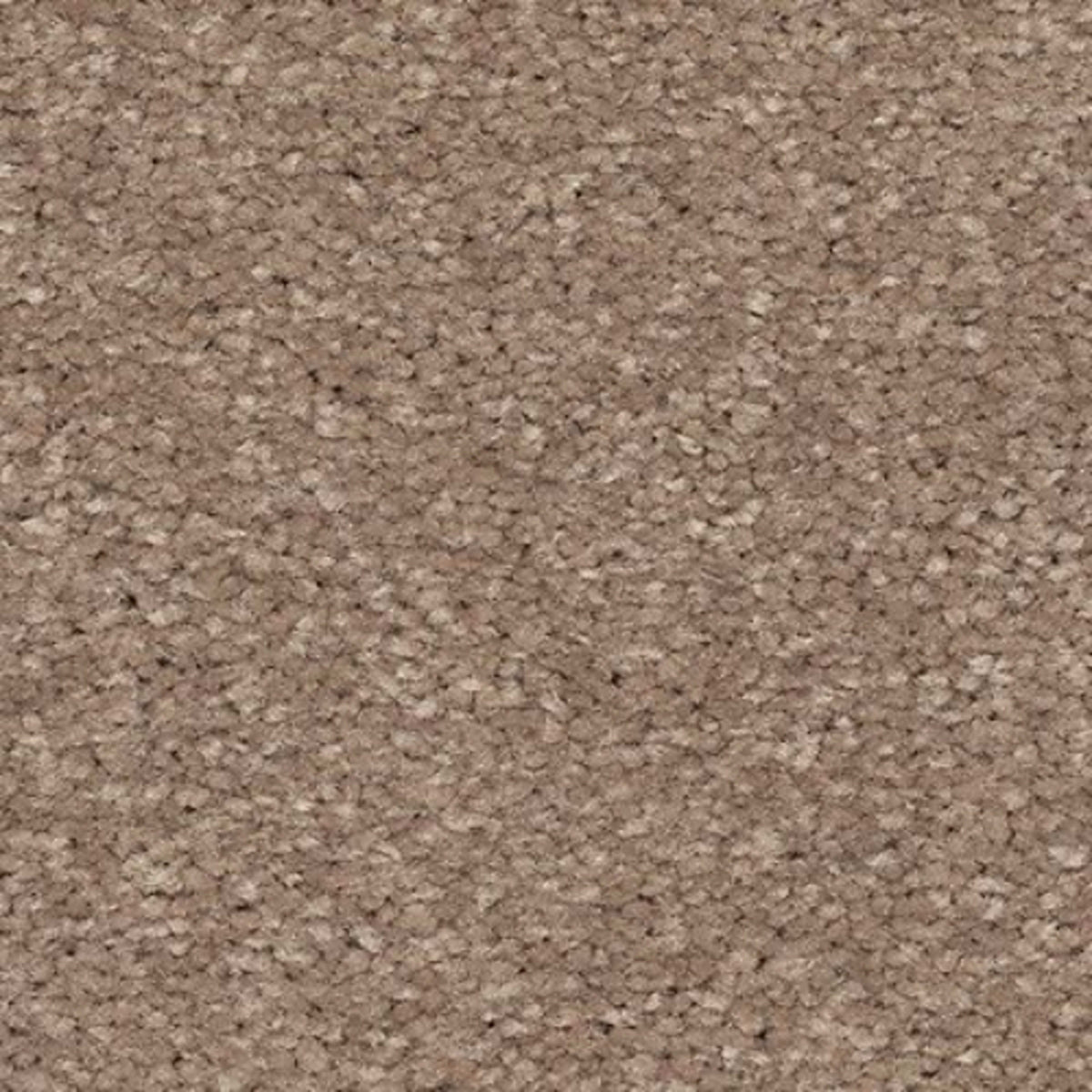 Radiant Surface in Timeless Carpet