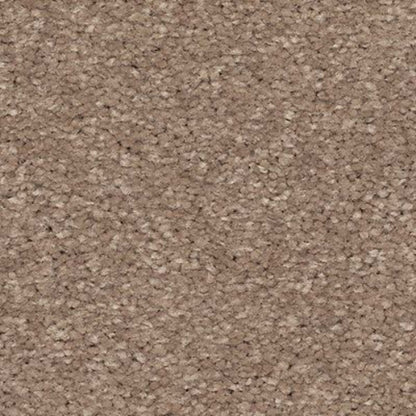 Radiant Surface in Timeless Carpet