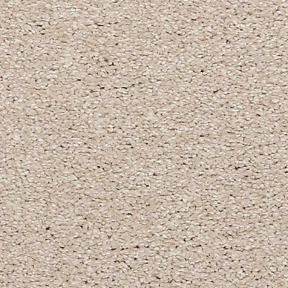 Noble Tone in Linen Lace Carpet