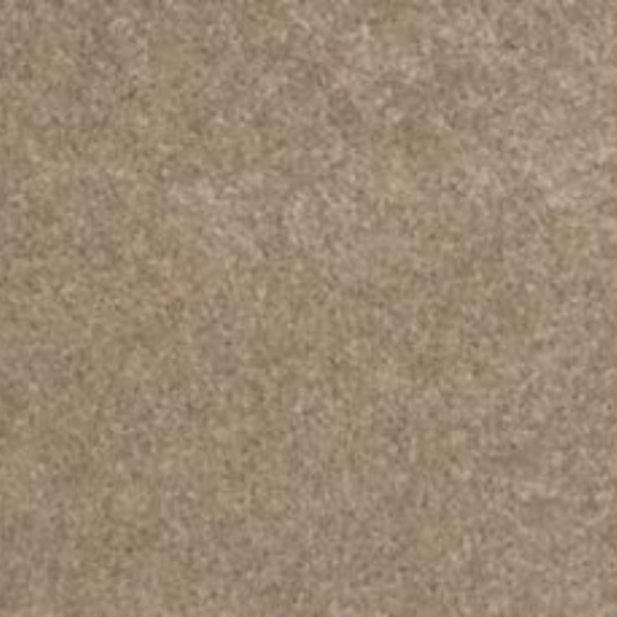 Lifetime Achiever II in Fawn Carpet