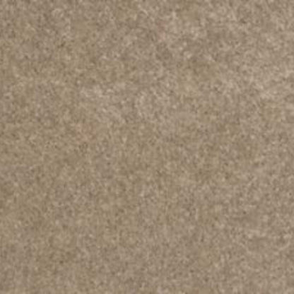 Lifetime Achiever II in Fawn Carpet
