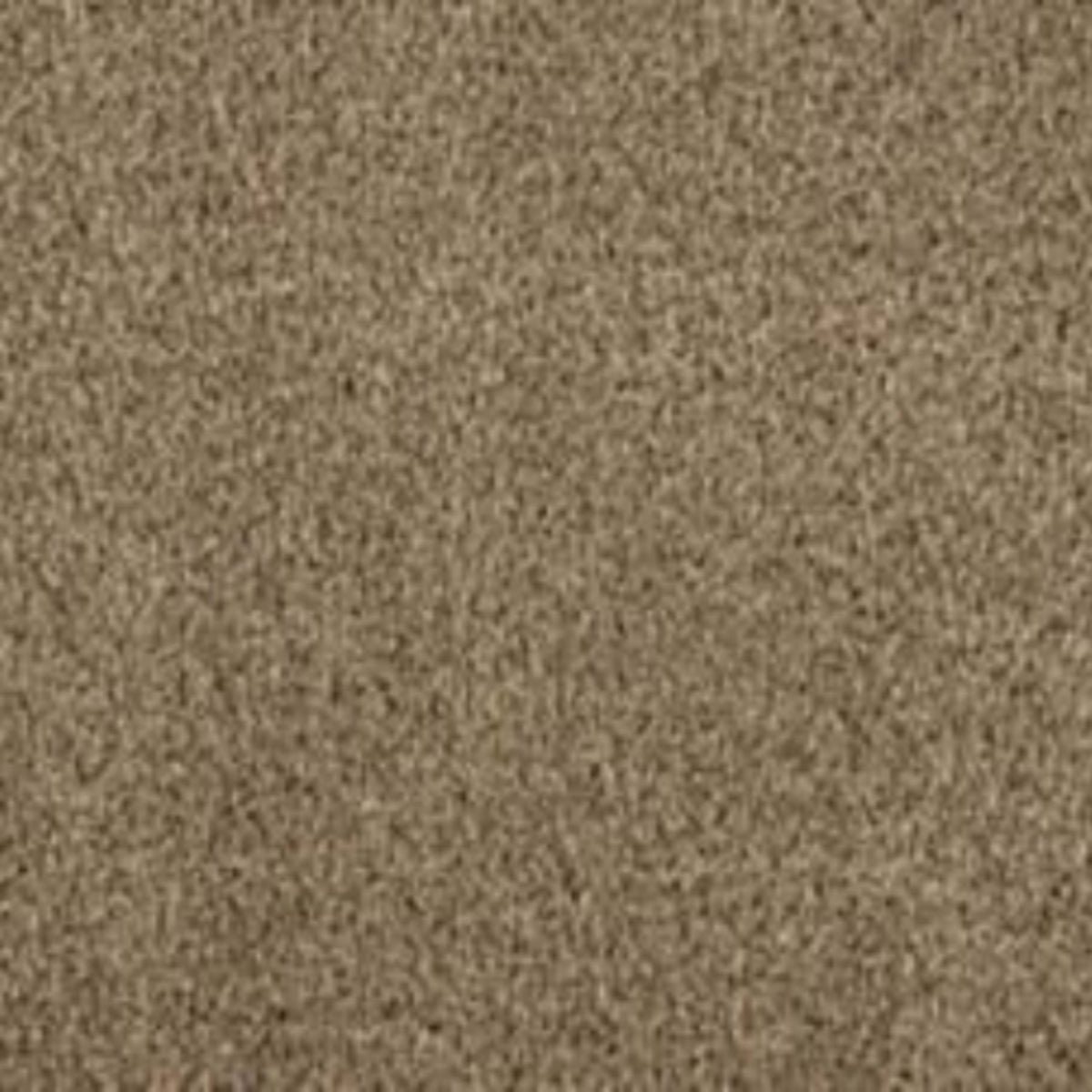 Noble View in Halo Carpet