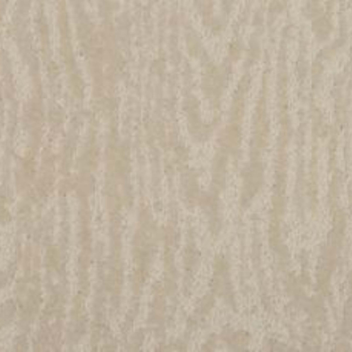 Timber View in Aspen          Carpet