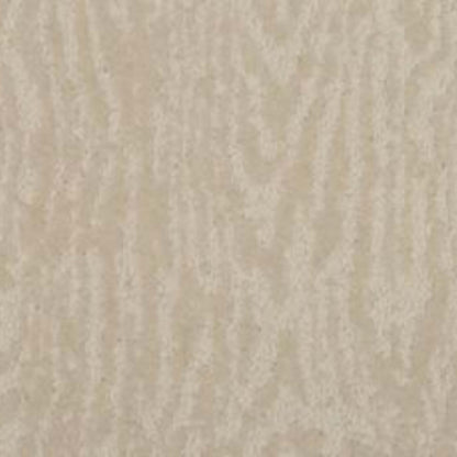 Timber View in Aspen          Carpet