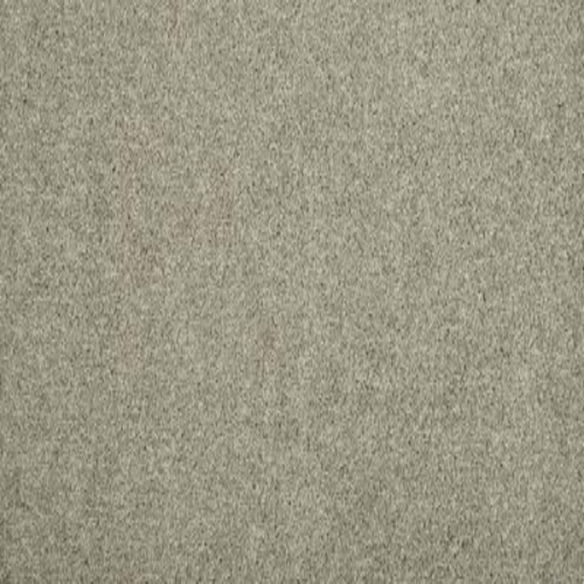Meridian in Stepping Stone Carpet