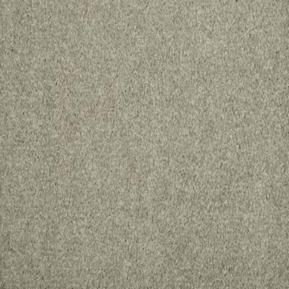 Meridian in Stepping Stone Carpet